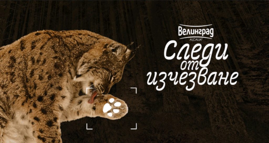 Screenshot_2025-09-02-13-53-55-21_45e686c594768066ad9911d54d96f72b